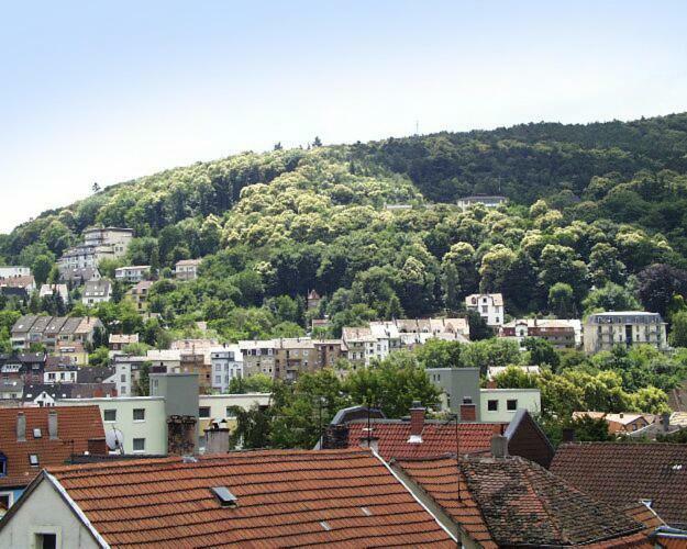 Ferienwohnung Appolonia Neustadt an der Weinstraße Esterno foto